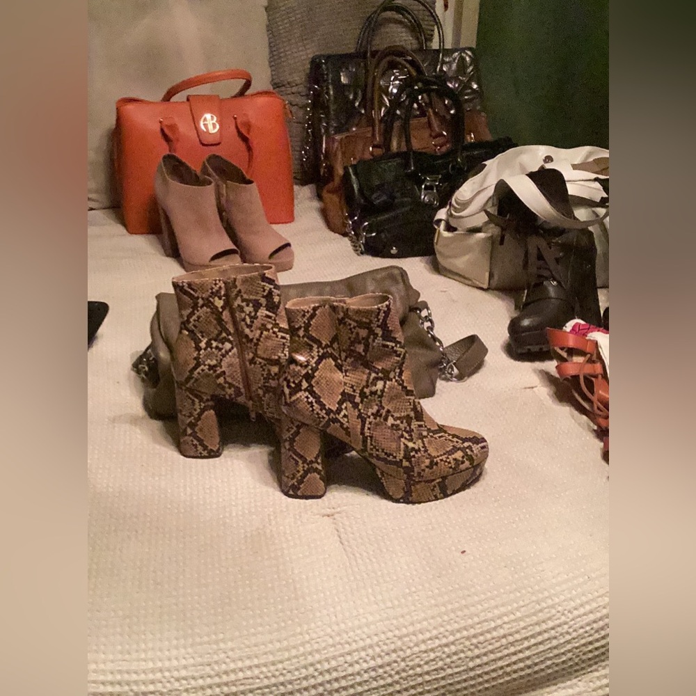 Steve Madden boots snake print